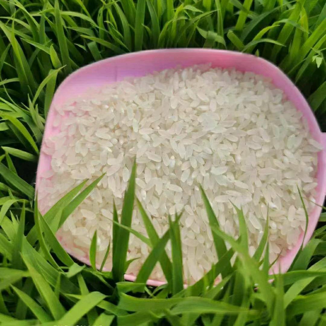 三胖子当头一棒子