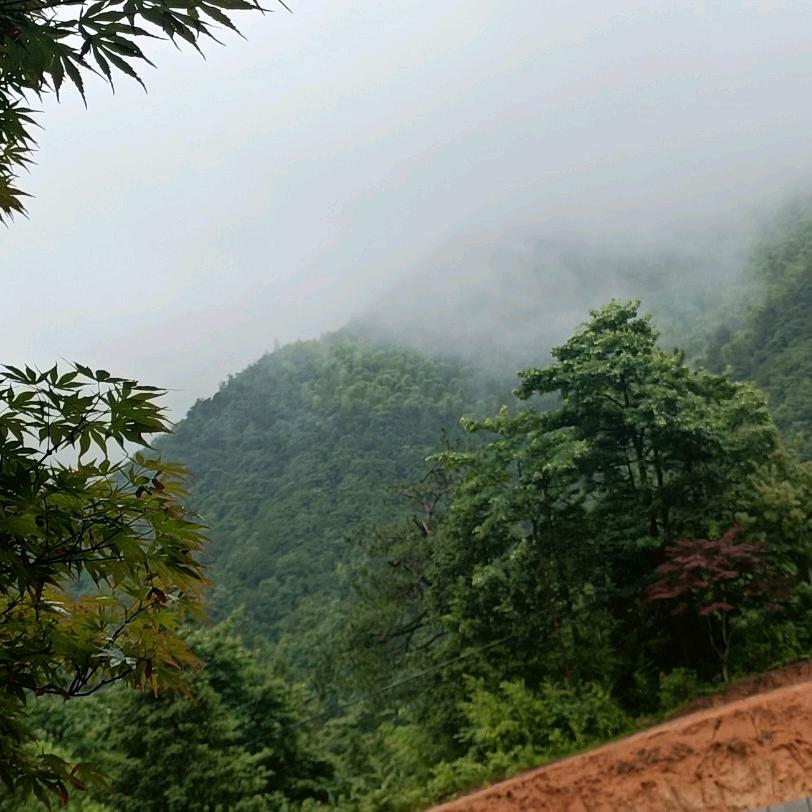 💐离不开天空的云🍂