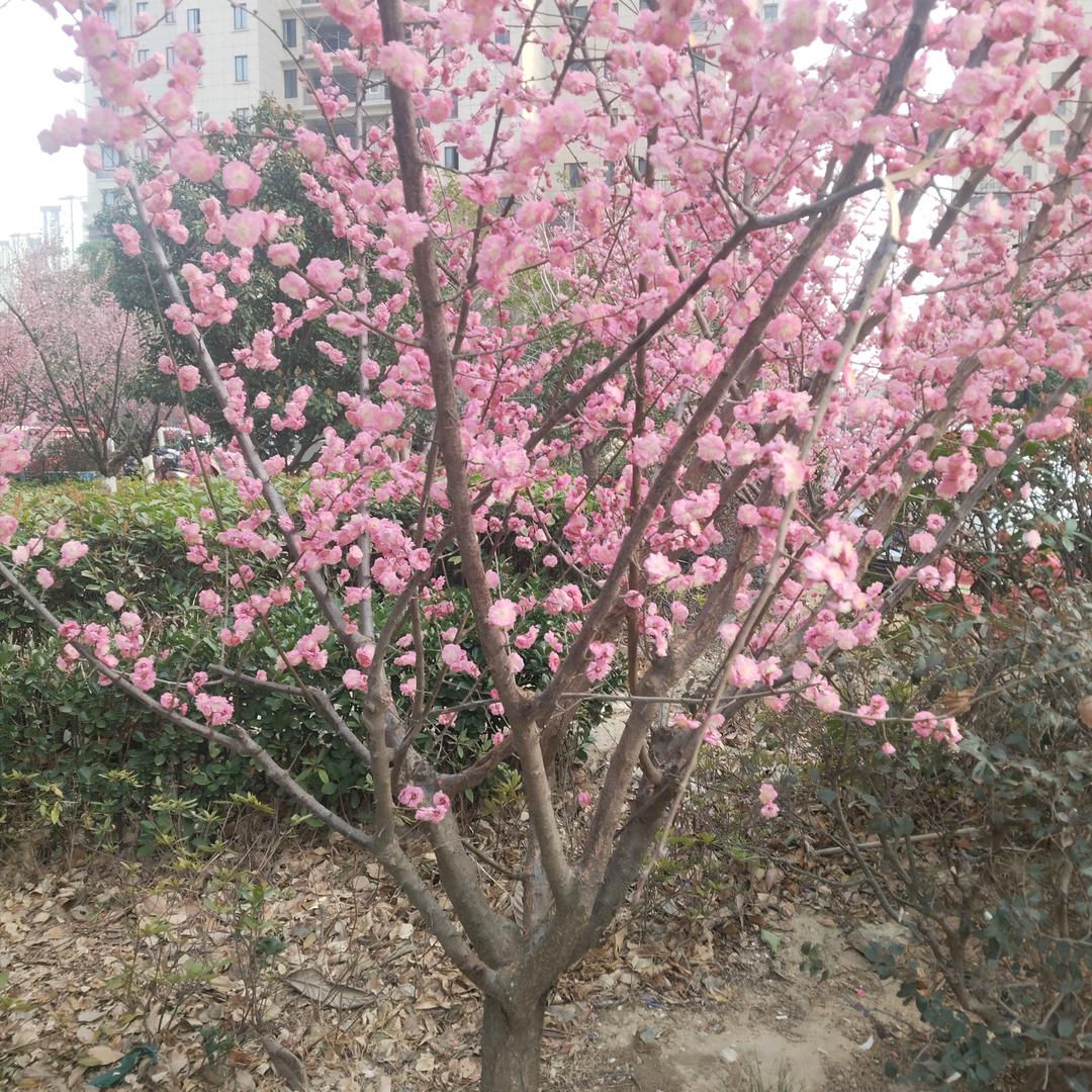 我还等你