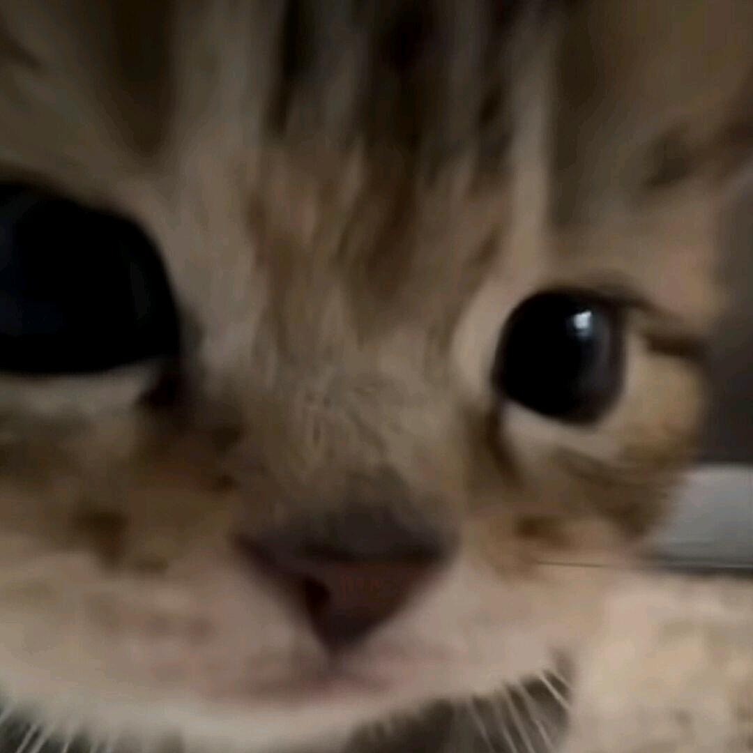 陈奕的奕