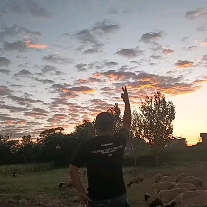 ²°²⑤郝运💰常伴∷