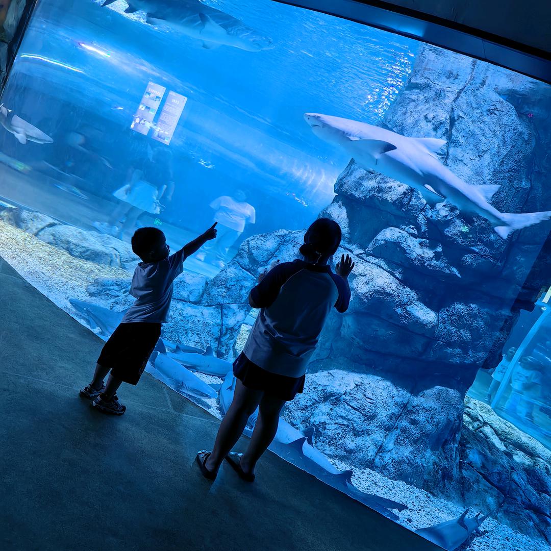 🧣🧣《小薇美妆》