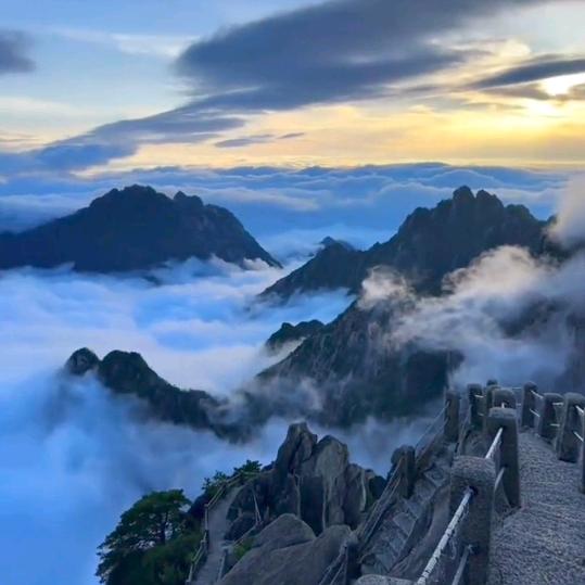 💞້໌佛系仙女ღ᭄💞