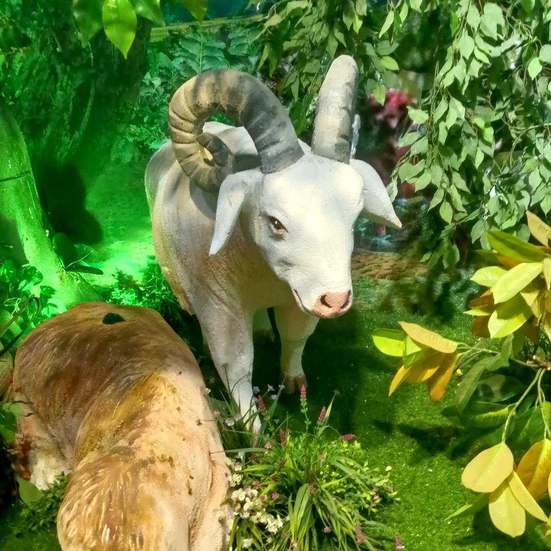 人见人爱花见花开