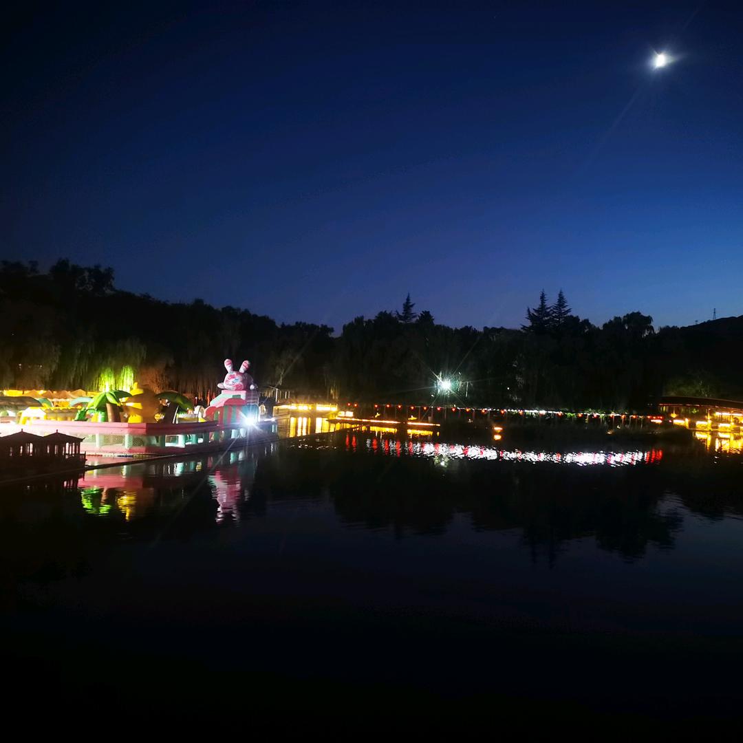 🕊寄个春天给你