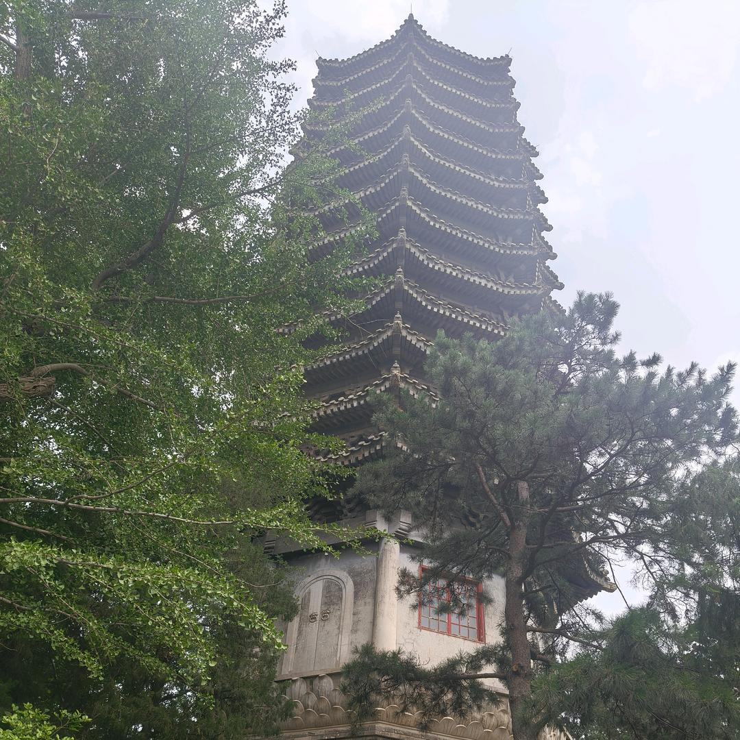 铁金刚单身哥万岁😂😂