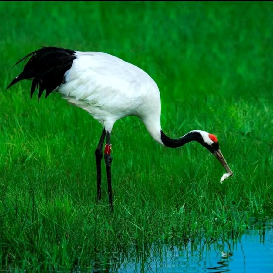 方氏裤带面老板娘