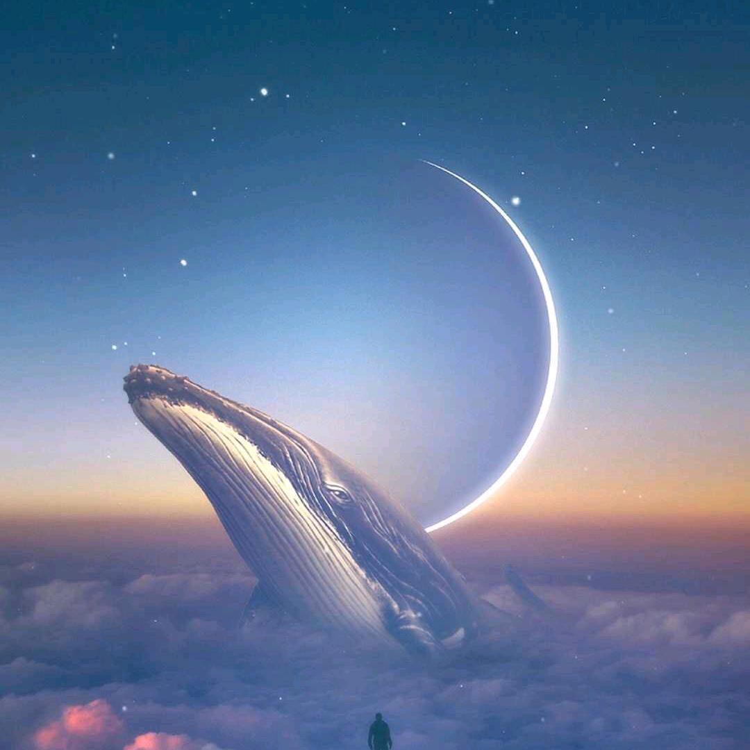 忠小城