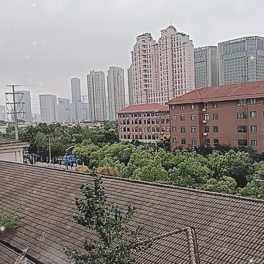 眼前的只不过是一团乱麻