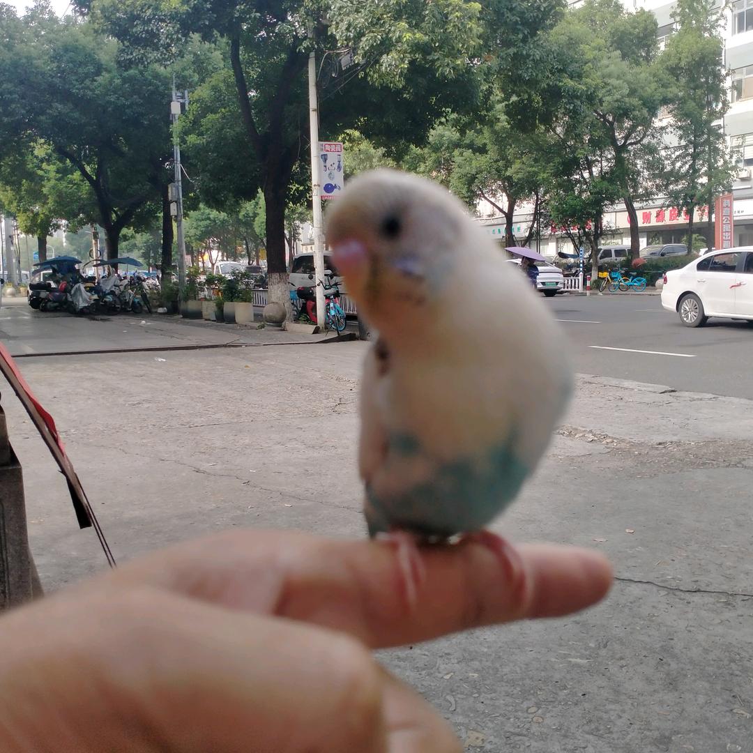 蔣🇨🇳  祥🌻