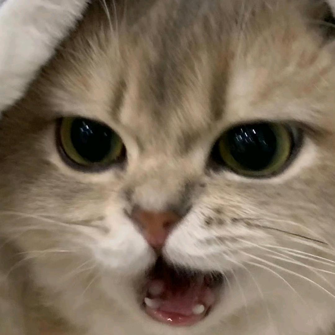 ioi٩(๑•ㅂ•)۶