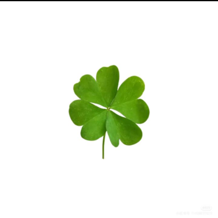 ☘️
