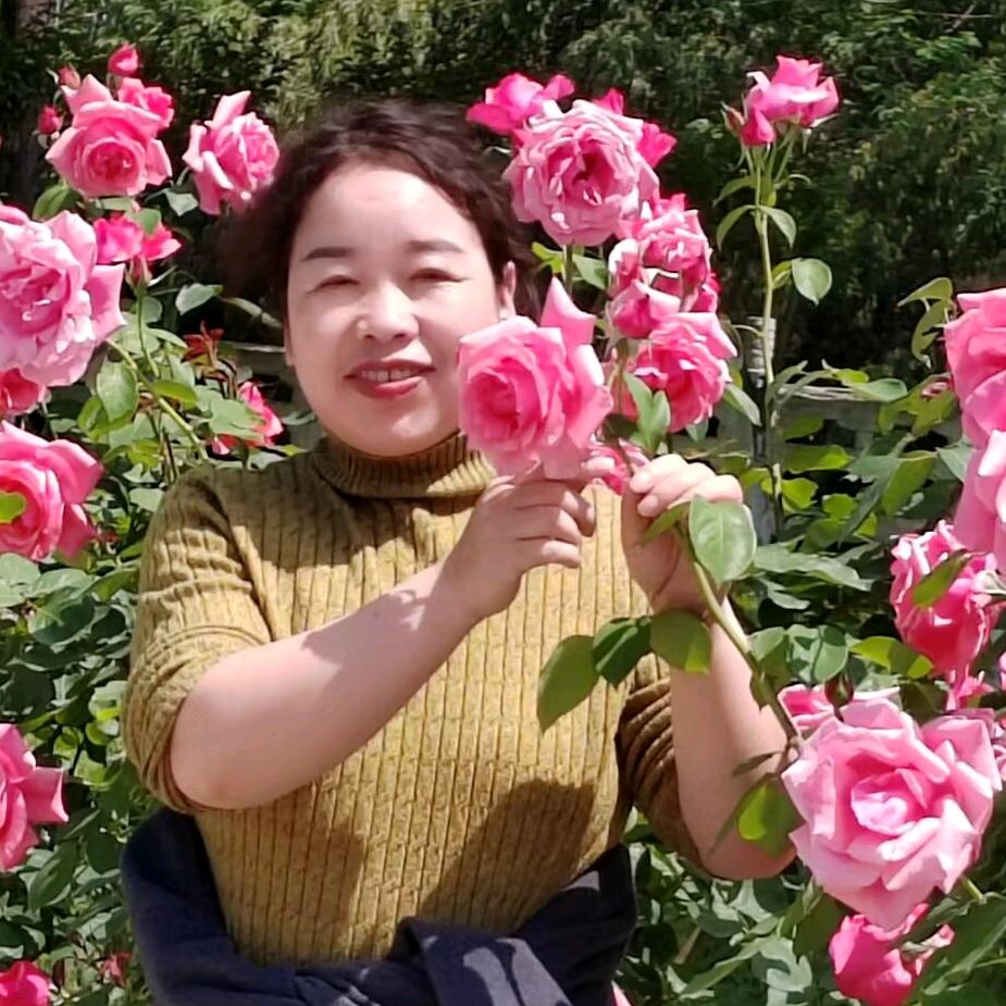 时光静美