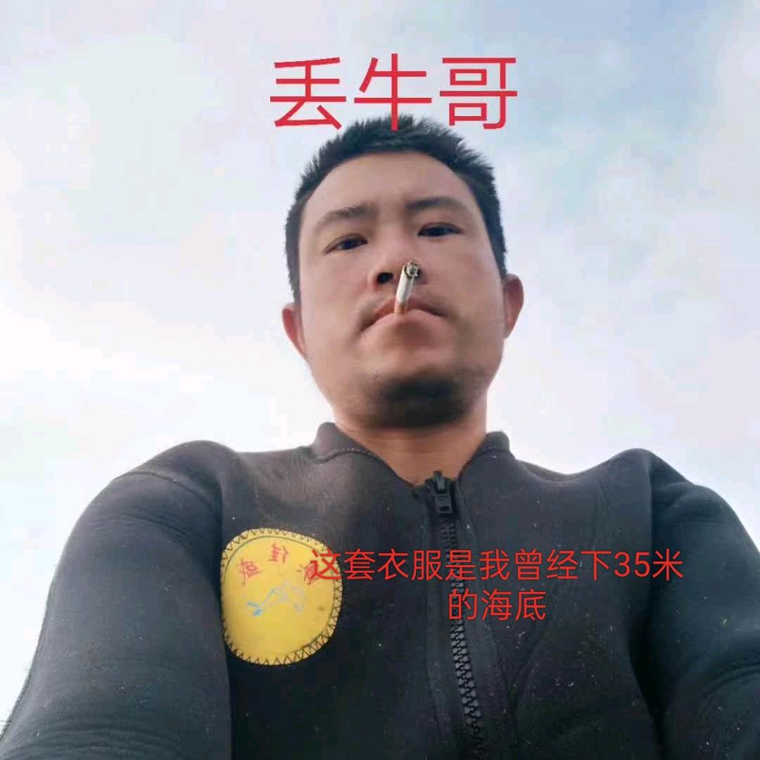 今生无悔无影无踪，来无影去无踪，