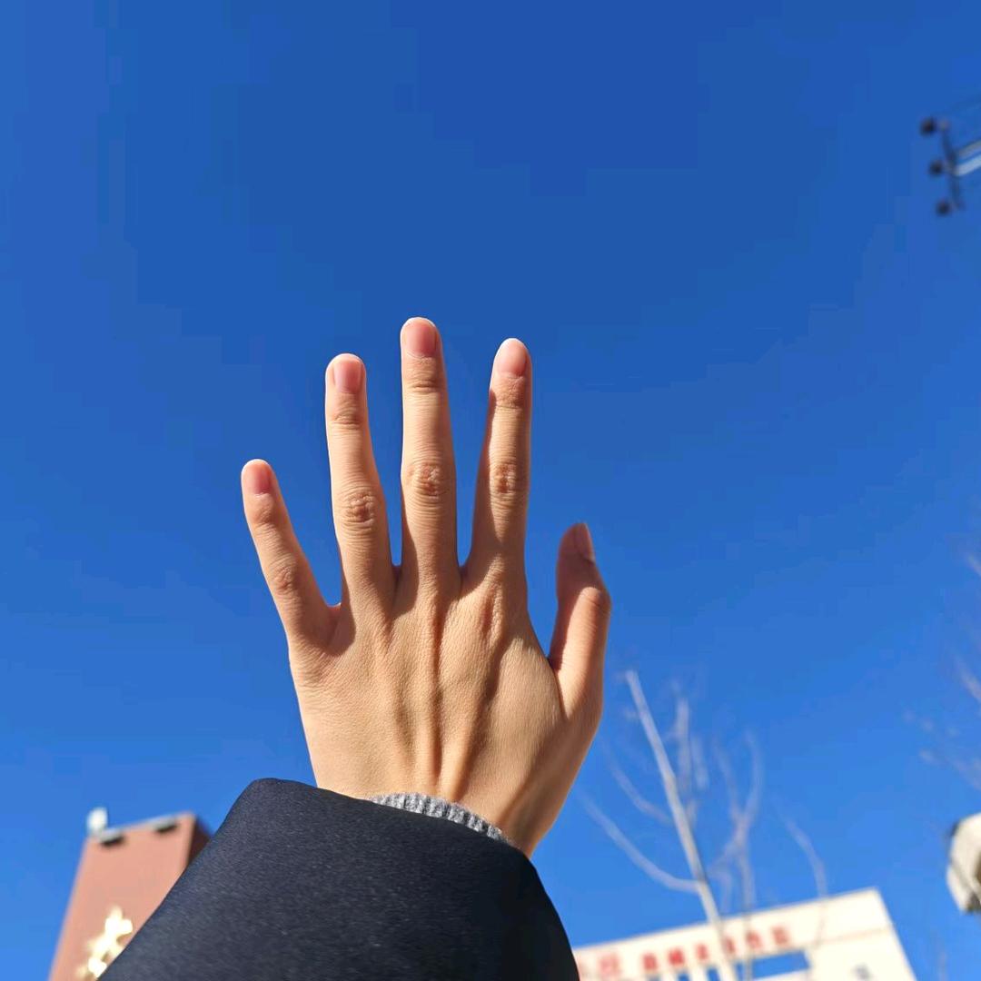 飞飞