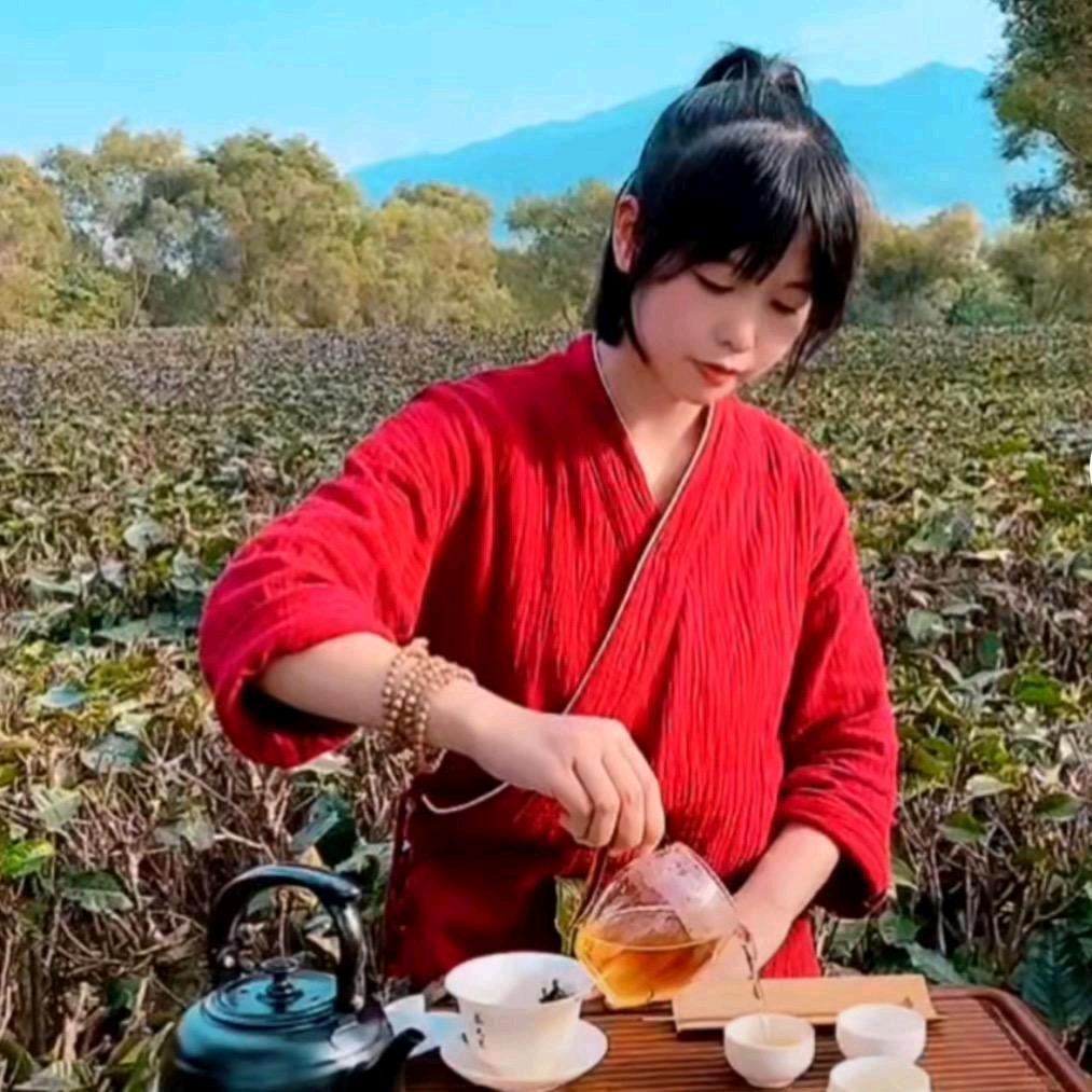 广东红茶：英红九号源头厂家