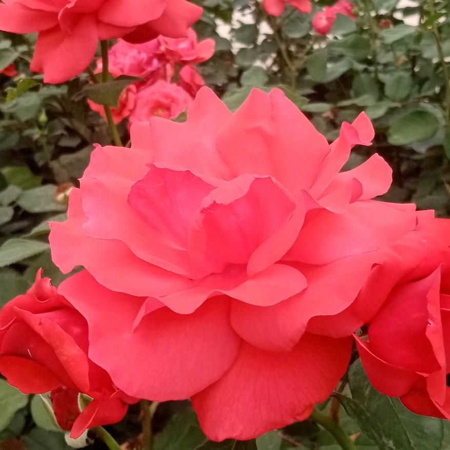 缘🌺份