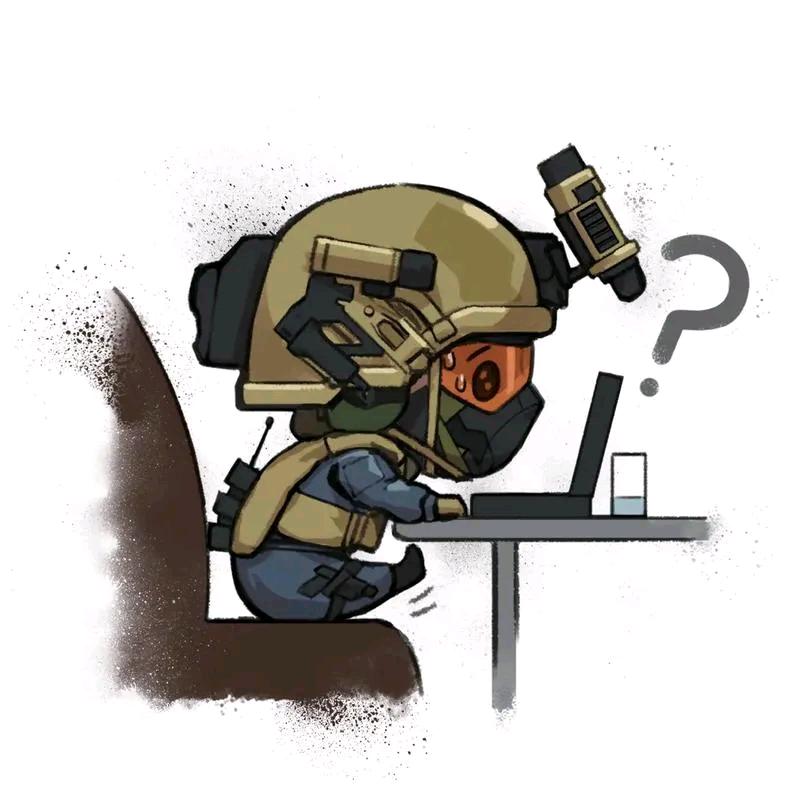 (三角洲行动)小小十三