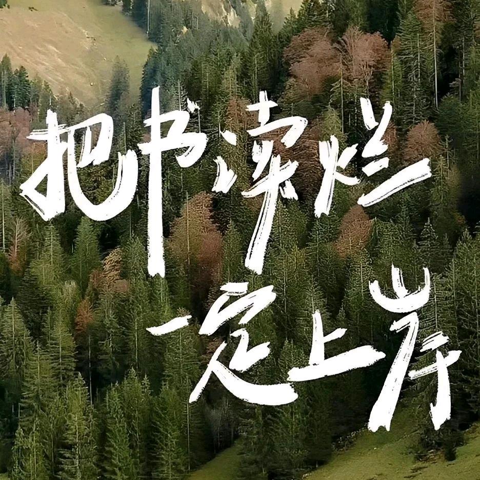 梦飞教育专升本