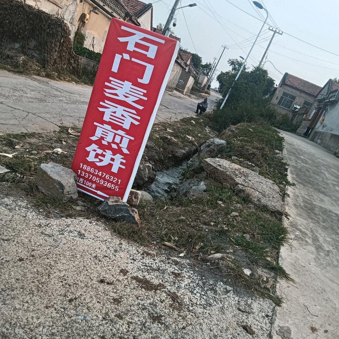 马大宝