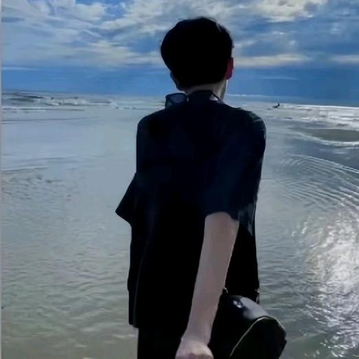 番茄你个西红柿🍅