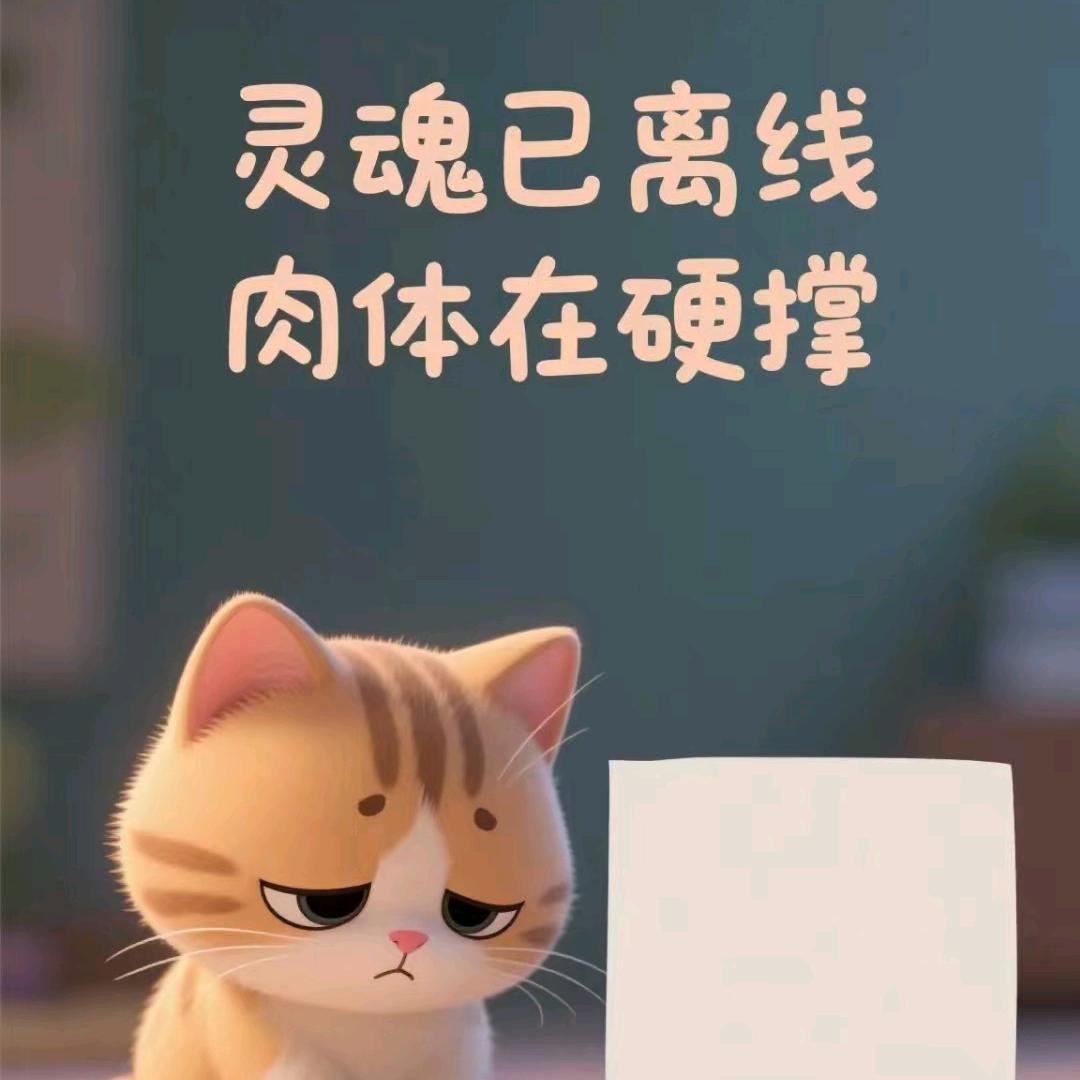 缘梦