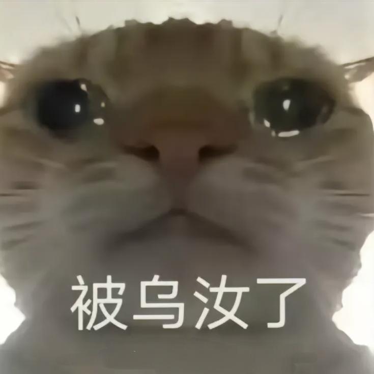 The通幽