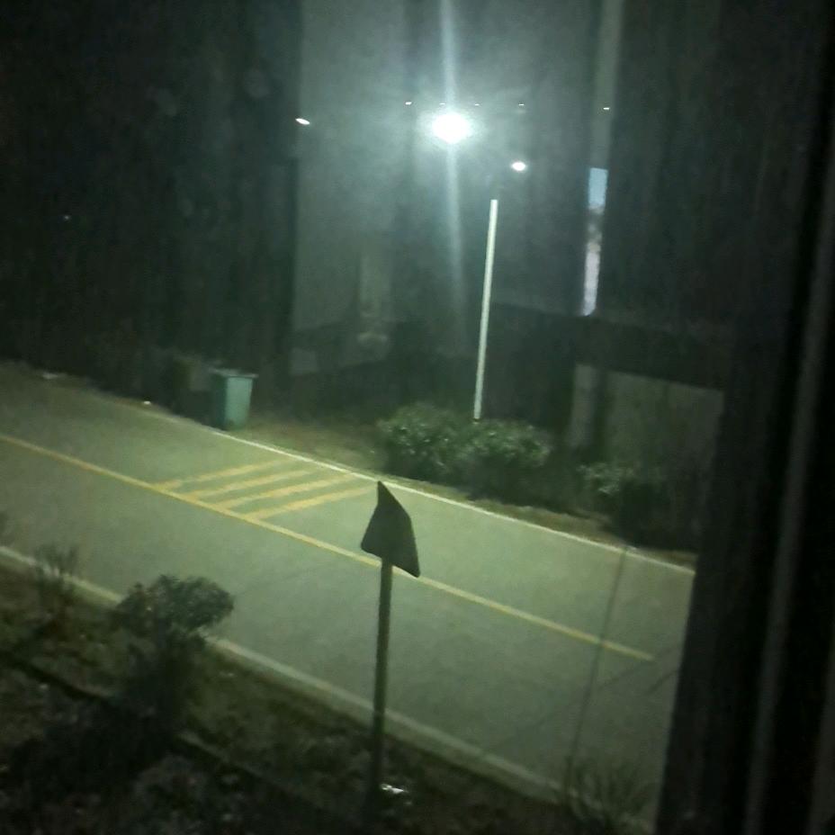 生存以拼搏