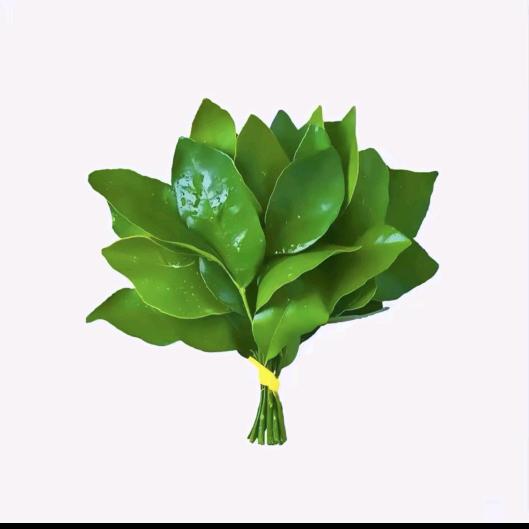 @趙.