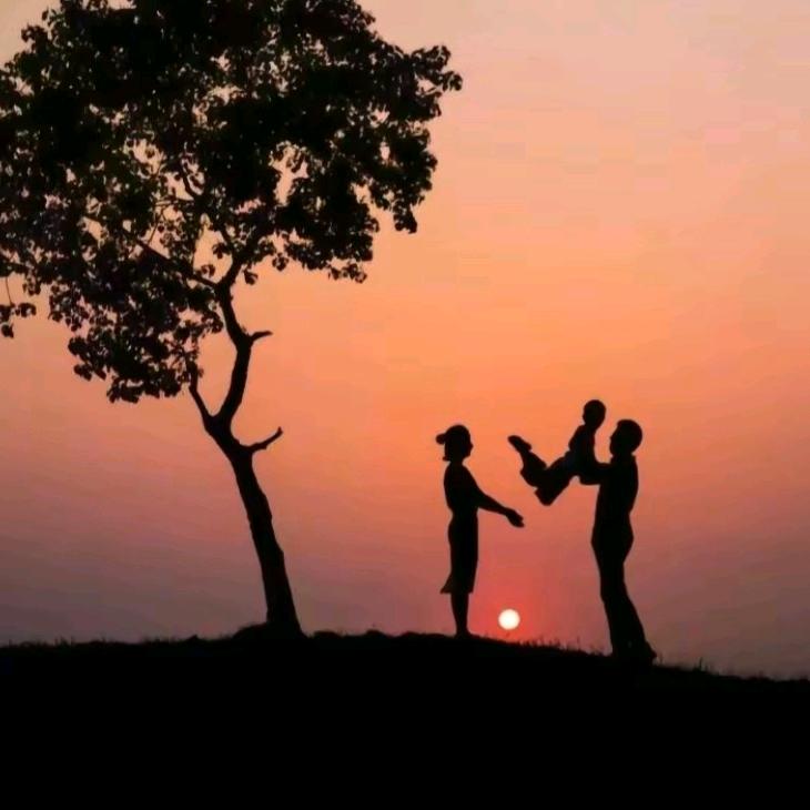 阿春（高考志愿填报+财务.商业等软件）