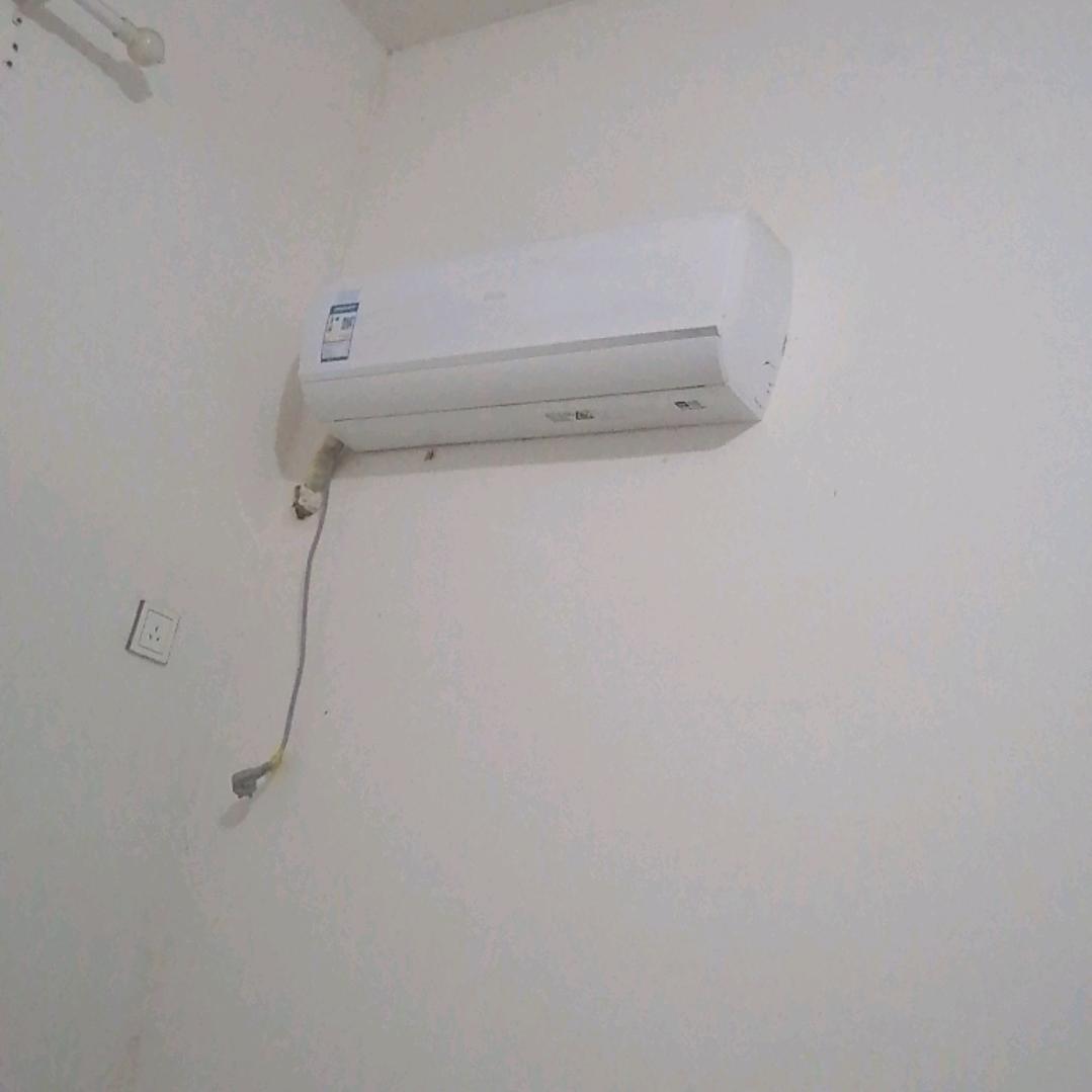 真爱甜蜜