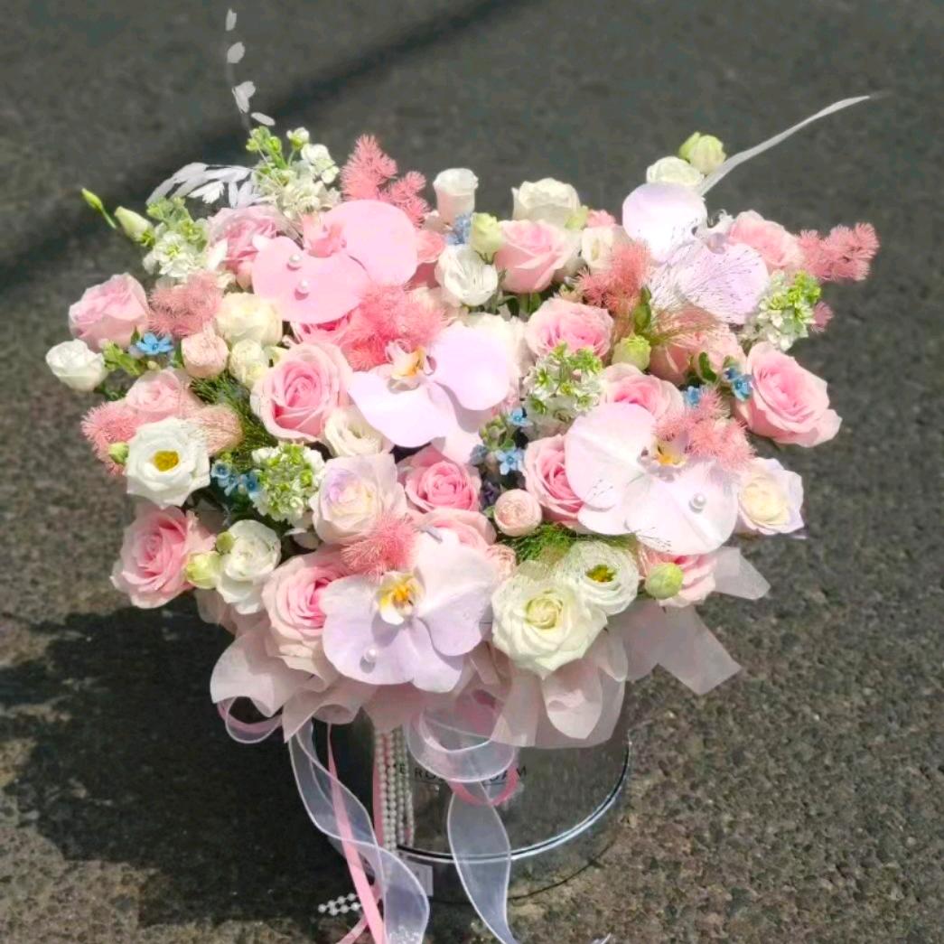芙蓉