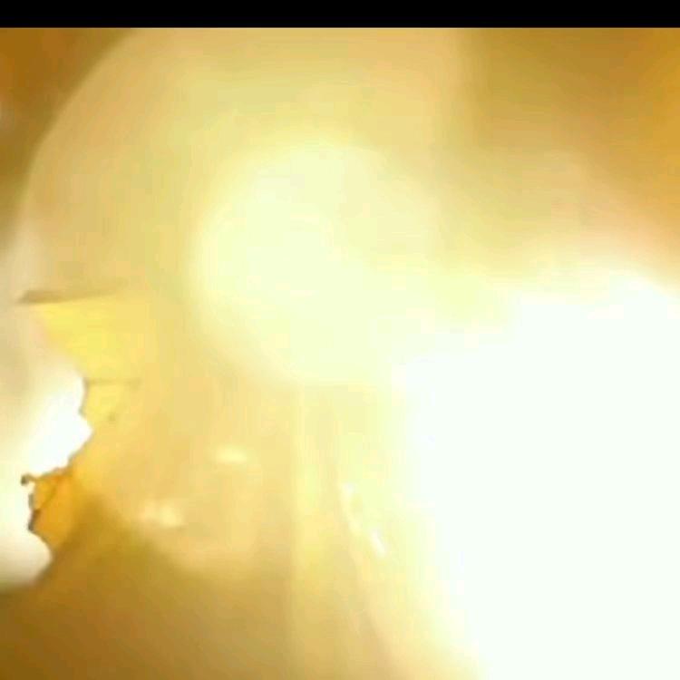 珍珍音乐分享🎤