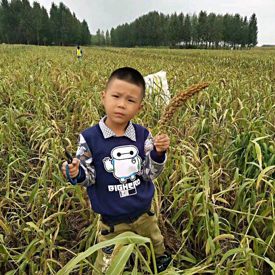 艳子  come!