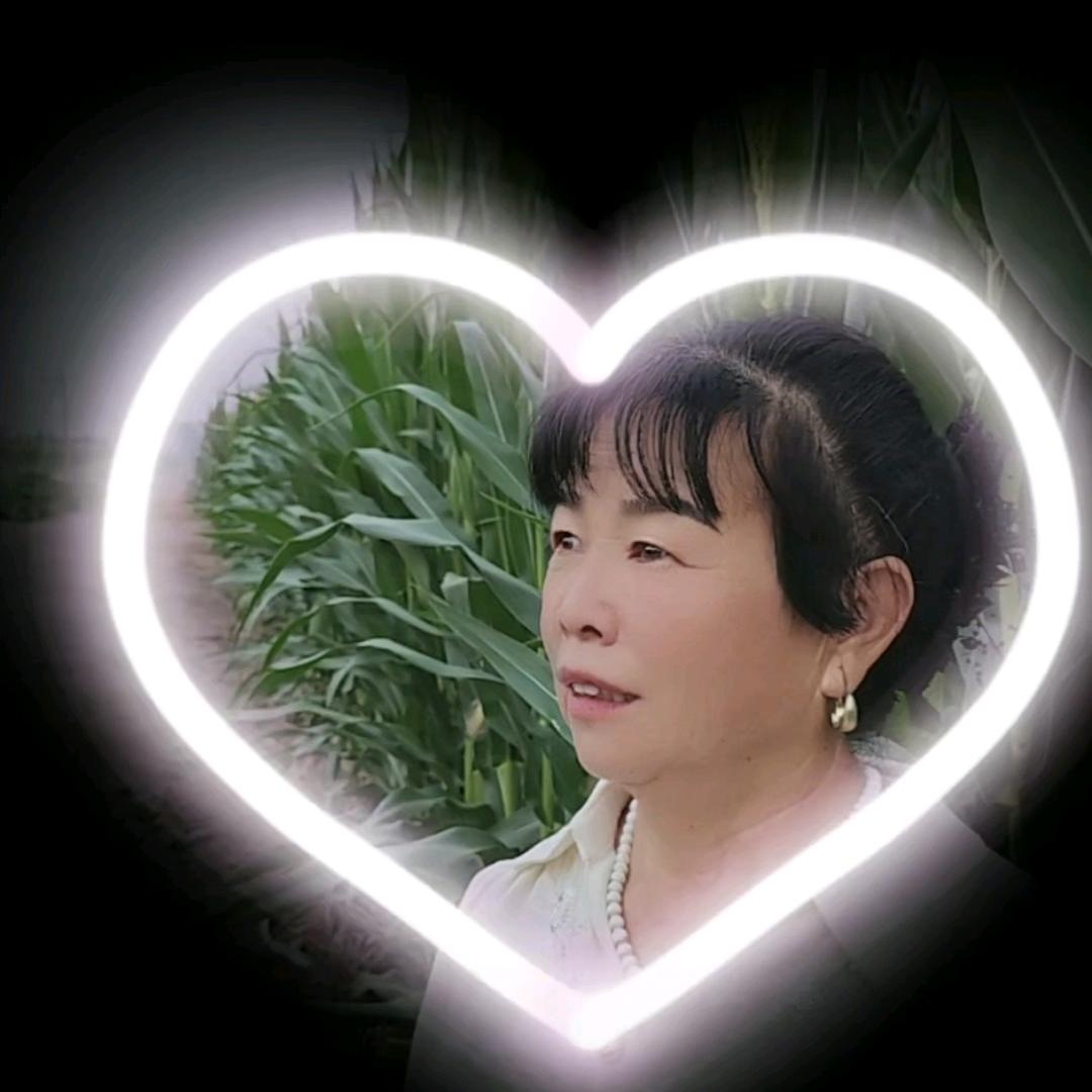 冀付娥晚上八点幵播