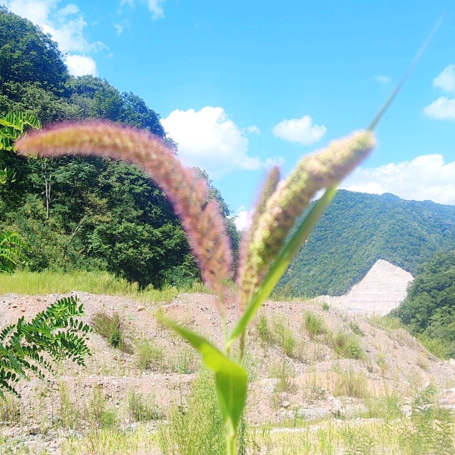 别碰💝我心