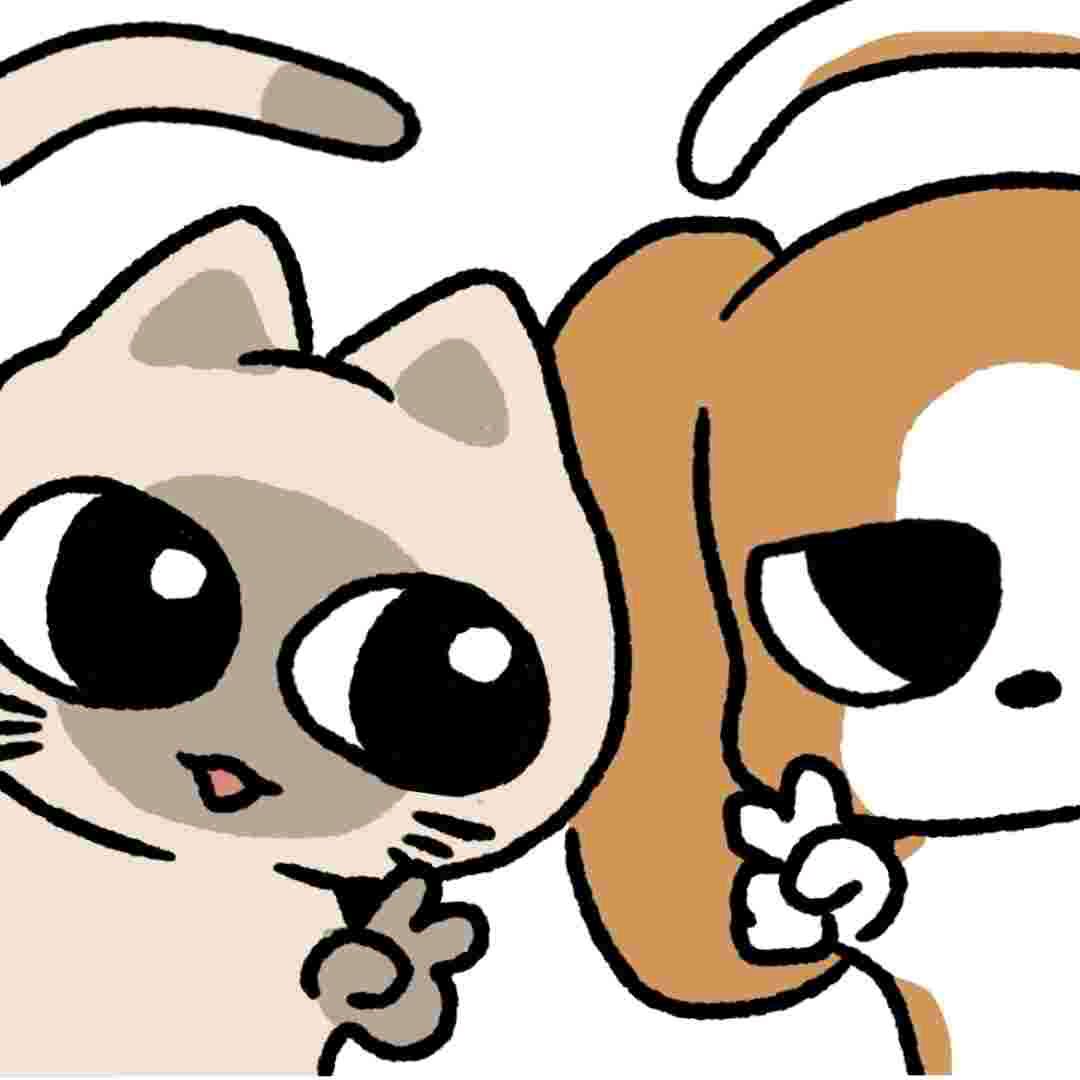 小渔儿