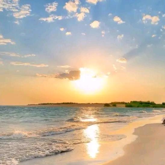 我先来一口旅行