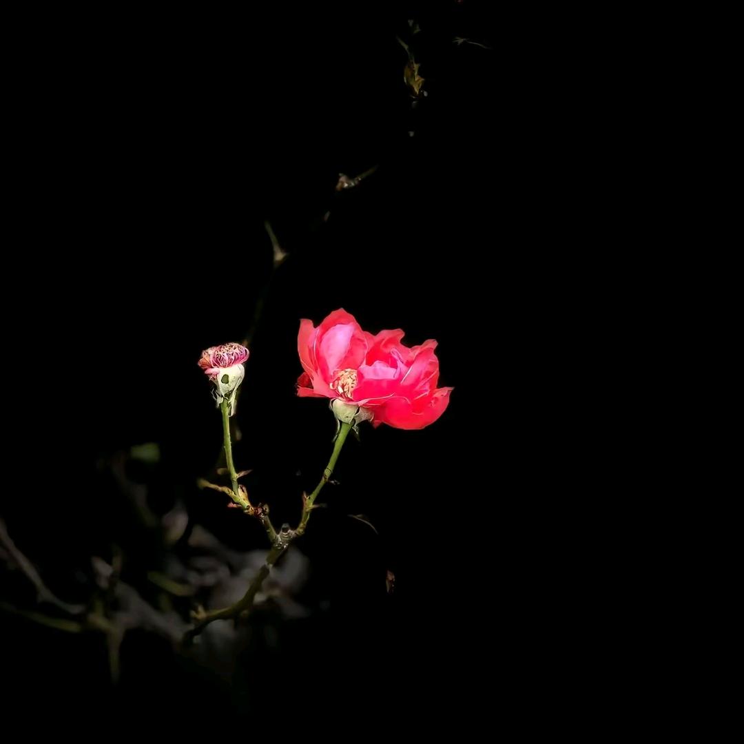 💕ꦿ҉戒不掉ᨶ႒ᩚ烟酒ᥫᩣ໌້