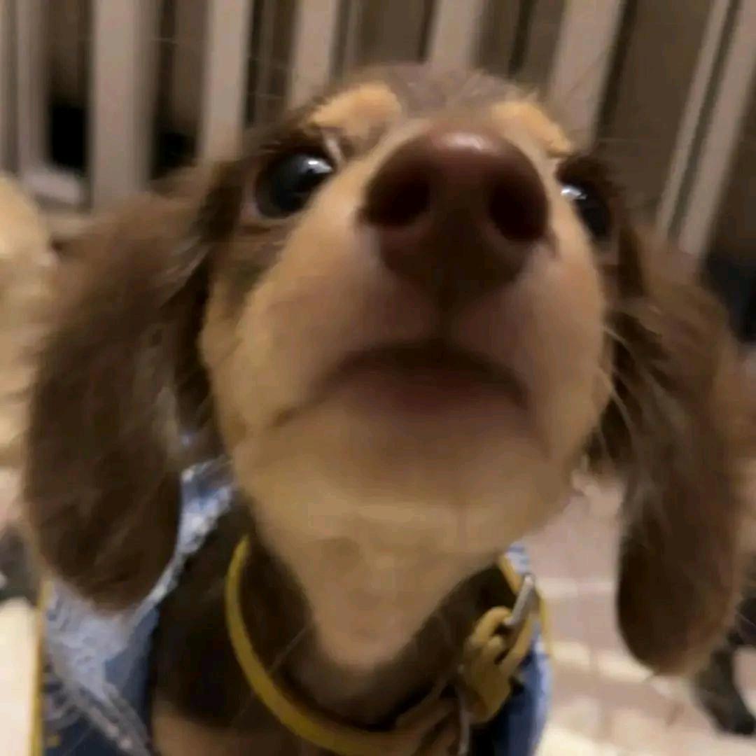 月光碎成一地纸沫