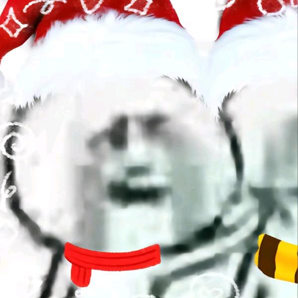 冬曳