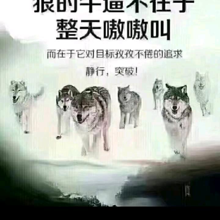 执着一生