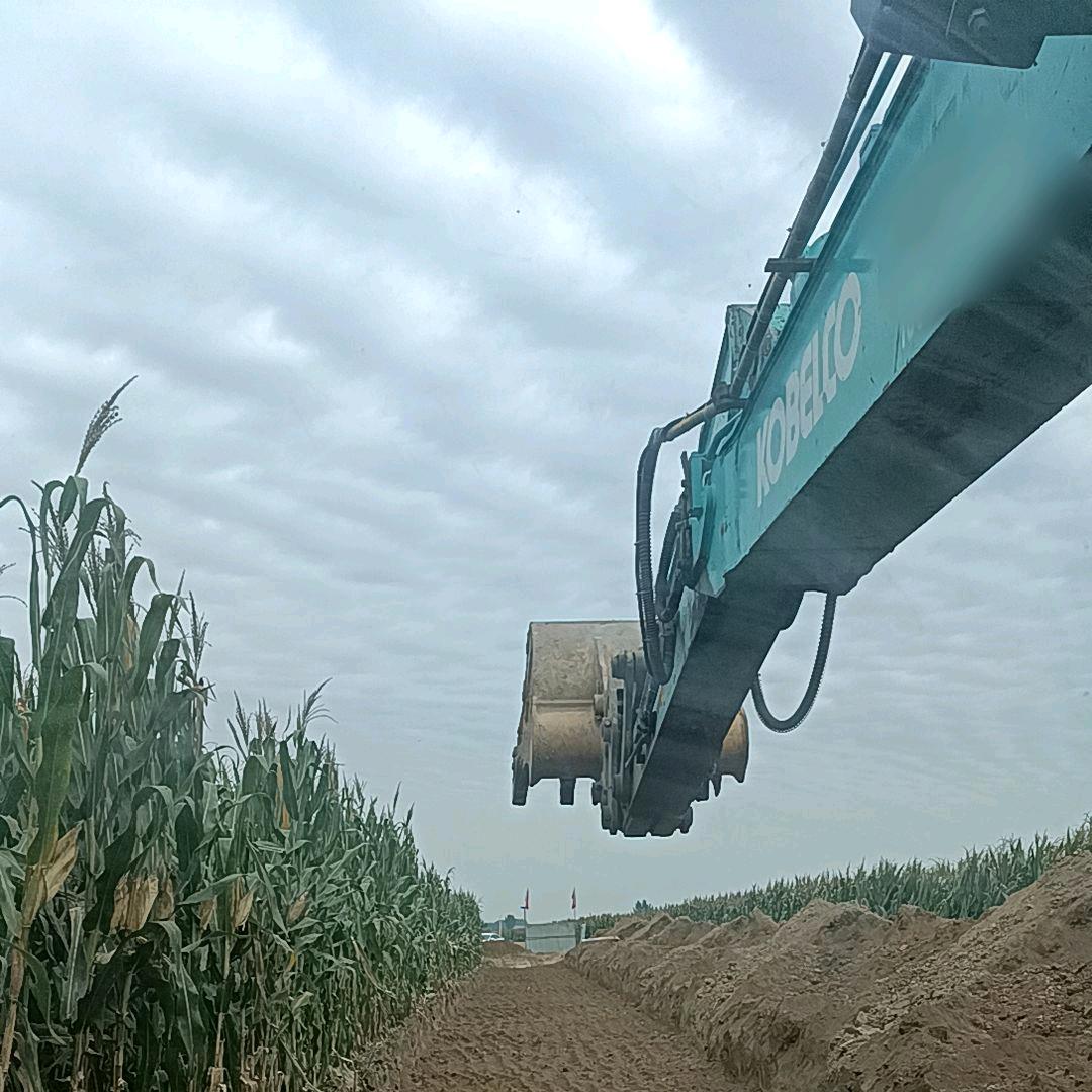 南挖军团꧁杰꧂