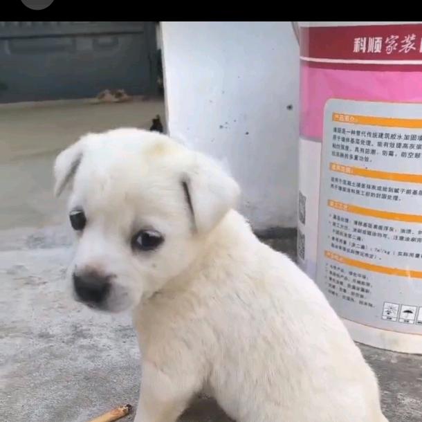 情歌哼着哼着就跑调了