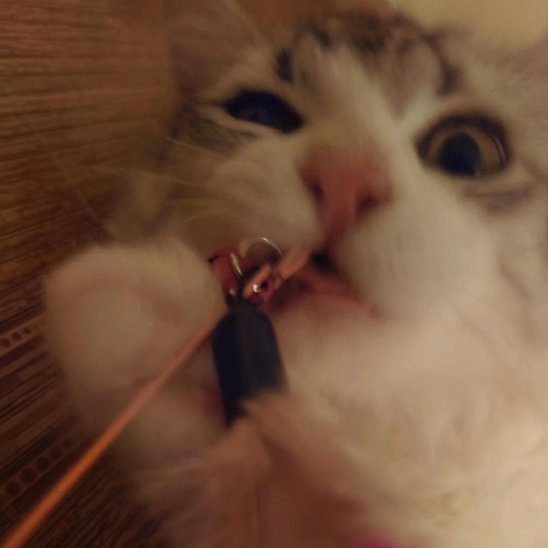命苦