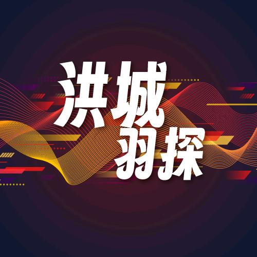 洪城羽探🏸