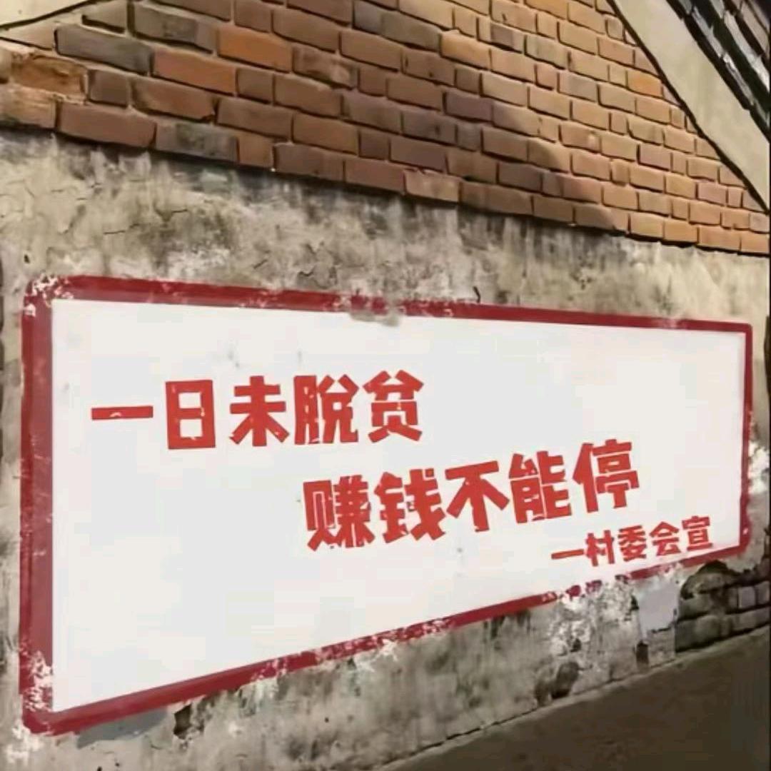 寡妇村村长