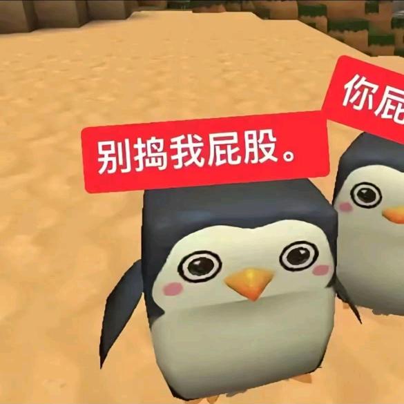 狗妹拿塞