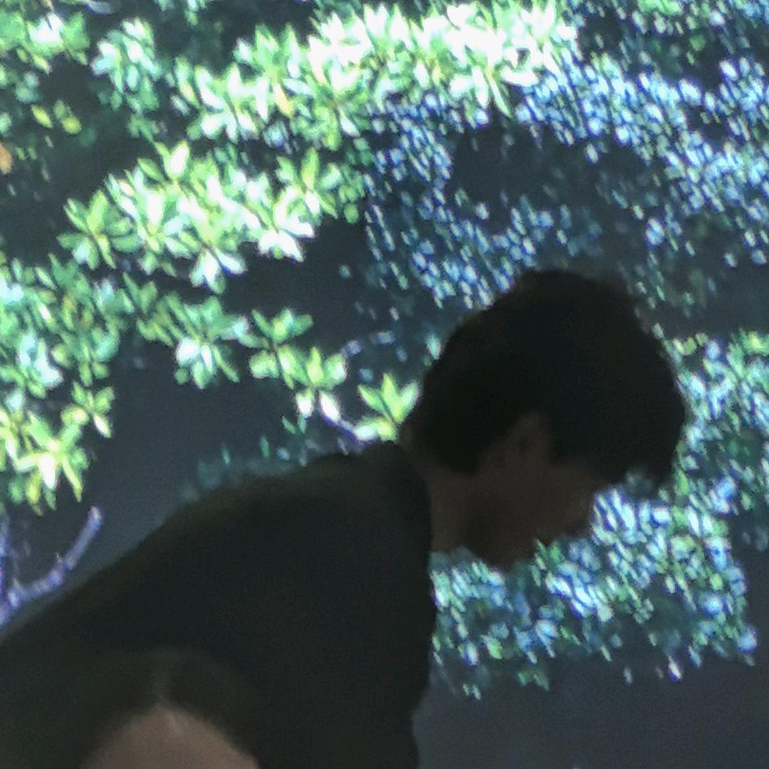 安徽衡水高中