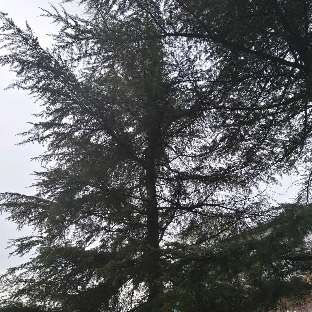 久润润滑油（王建斌）